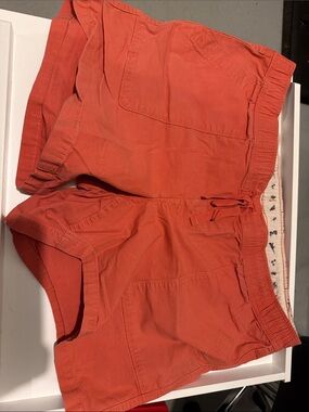 The North Face Orange Women's Shorts